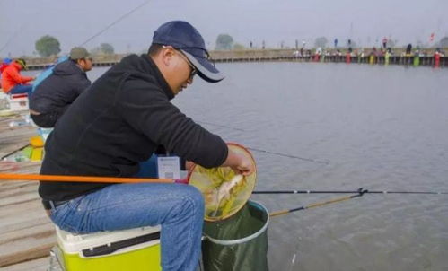 路边钓鱼饵料配方大全，如何配制有效的钓鱼饵料
