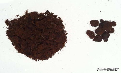 麝香酒泡制钓鱼饵料的详细教程，提升钓鱼成功率的秘诀