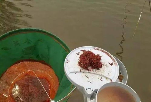 面粉钓鱼饵料调漂全攻略，从零开始掌握技巧