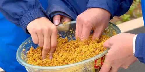 冬寒垂钓必试的饵料秘方 冬寒垂钓必试的饵料秘方