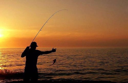 当哲学遇上鱼钩，用口香糖、泡面和哲学家钓上人生真谛