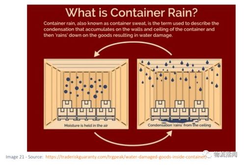 如何利用钓鱼饵料空瓶，实用方法与图片指南