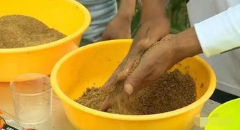 大袋子钓鱼饵料怎么用？这些方法让你物尽其用