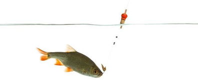 夜光饵料瓶，夜间钓鱼的秘密武器，如何用它提升你的捕获率？