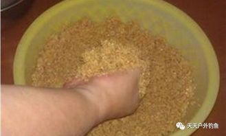 钓鱼饵料的点睛之笔,云母粉的妙用指南 钓鱼饵料的点睛之笔,云母粉的妙用指南