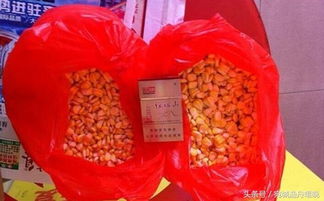 自制钓鱼饵料,果酸配制全攻略