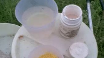 钓鱼饵料容易散架怎么办?全面解析与解决方案 钓鱼饵料容易散架怎么办?全面解析与解决方案