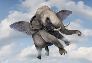 资金涌向银行股 “大象”再起舞