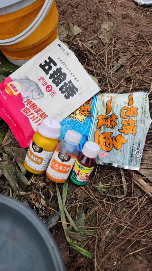 用醋泡制钓鱼饵料的完美指南