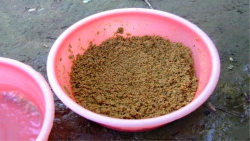 无名鲤钓鱼饵料怎么样,全面评测与使用心得 无名鲤钓鱼饵料怎么样,全面评测与使用心得