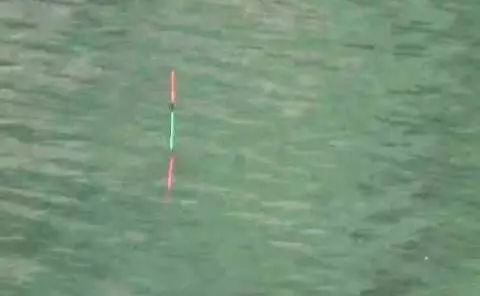 野钓新手必看!鱼饵鱼竿使用全攻略视频教程 野钓新手必看!鱼饵鱼竿使用全攻略视频教程