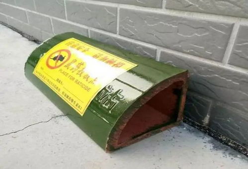 密封钓鱼饵料盒的使用方法详解 密封钓鱼饵料盒的使用方法详解