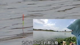 钓鱼饵料快速增稠的秘诀 钓鱼饵料快速增稠的秘诀