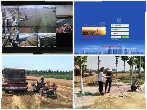 钓鱼饵料抛洒水怎么办，实用解决方案与预防指南