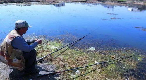 钓鱼饵料怎么选?斧头湖垂钓饵料选择全解析 钓鱼饵料怎么选?斧头湖垂钓饵料选择全解析