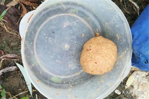 钓鱼饵料用水怎么合缸的?专业钓饵配水全攻略 钓鱼饵料用水怎么合缸的?专业钓饵配水全攻略