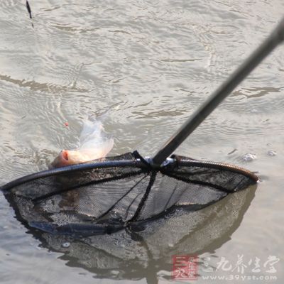 新手钓鱼饵料打窝全攻略，从入门到精通的实用指南