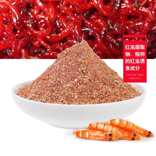 红虫钓鱼饵料的制作与使用全指南