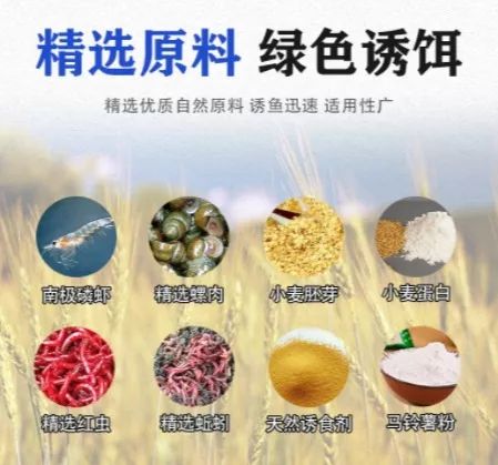 海边钓鱼饵料怎么挂？这份饵料挂法秘籍让你轻松上鱼！