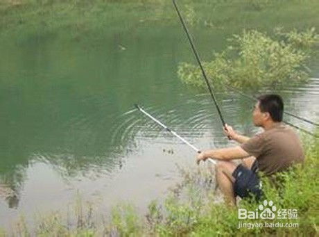 钓鱼饵料斗米，夏日垂钓的绝佳选择与使用全攻略