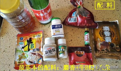 野钓高手的秘密武器,自制鱼饵料的完美秘方与技巧 野钓高手的秘密武器,自制鱼饵料的完美秘方与技巧