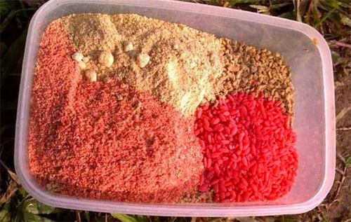 休闲塘挂玉米钓鱼饵料的正确方法