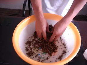 钓鱼饵料米糊怎么用？手把手教你制作与使用技巧（附视频教程）