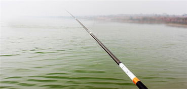 专业钓手必看，如何挑选适合手竿的优质钓鱼饵料