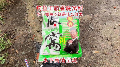 钓鱼饵料怎么挂不会掉线 钓鱼饵料怎么挂不会掉线