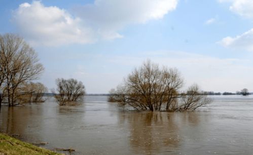 钓鱼饵料怎么叼鱼，视频教程全解析