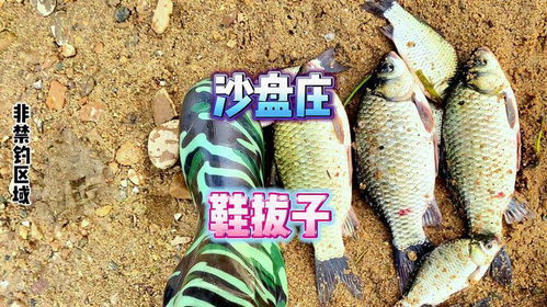 钓鱼饵料很黏怎么处理视频,告别黏手烦恼,提升作钓体验! 钓鱼饵料很黏怎么处理视频,告别黏手烦恼,提升作钓体验!