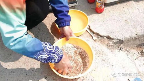 钓鱼饵料颗粒的正确使用方法 钓鱼饵料颗粒的正确使用方法