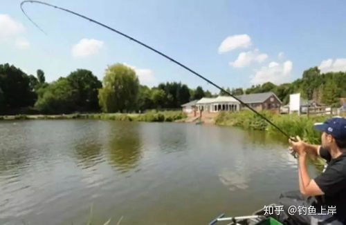 钓鱼饵料爆钩怎么办?5大关键点教你精准应对 钓鱼饵料爆钩怎么办?5大关键点教你精准应对