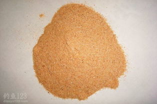 钓鱼饵料防止发霉,保存方法与使用技巧全解析 钓鱼饵料防止发霉,保存方法与使用技巧全解析