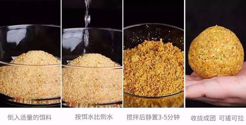 钓鱼饵料椰蓉的使用方法详解