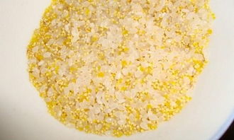 雨天钓鱼饵料配方与制作方法 雨天钓鱼饵料配方与制作方法