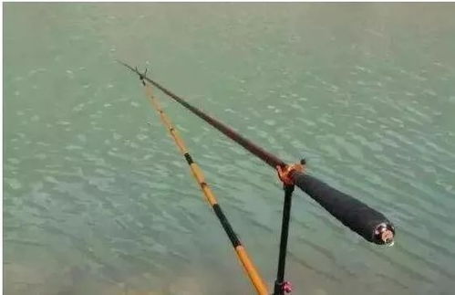 剪剪线也能钓大鱼!自制环保饵料的秘诀 剪剪线也能钓大鱼!自制环保饵料的秘诀