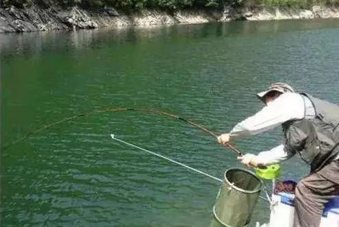 钓鱼饵料用的粗细怎么选?这几点你必须知道! 钓鱼饵料用的粗细怎么选?这几点你必须知道!