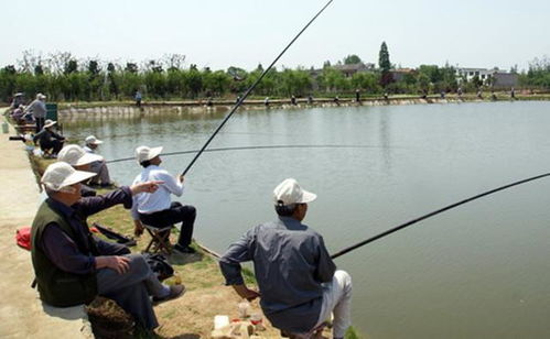 多功能钓鱼饵料包，钓鱼爱好者的必备神器