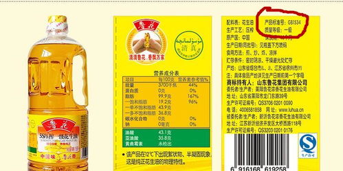 钓鱼饵料桶终极指南，从入门到精通的秘籍大公开！