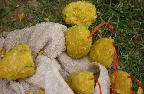 揭秘!这款自制糍粑饵料,让鱼儿疯狂咬钩的秘诀全在这里! 揭秘!这款自制糍粑饵料,让鱼儿疯狂咬钩的秘诀全在这里!