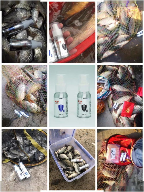 钓鱼饵料没有漂动怎么办?这5个原因你中了几个? 钓鱼饵料没有漂动怎么办?这5个原因你中了几个?