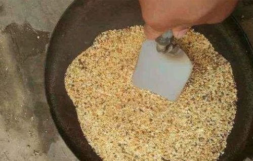 蚊香液变饵料?钓鱼界的神奇发现! 蚊香液变饵料?钓鱼界的神奇发现!