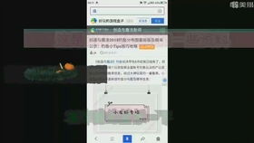 文星钓鱼饵料怎么样,全面评测与用户反馈 文星钓鱼饵料怎么样,全面评测与用户反馈