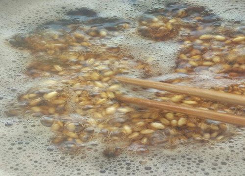 塘虱鱼钓鱼饵料的配制方法 塘虱鱼钓鱼饵料的配制方法