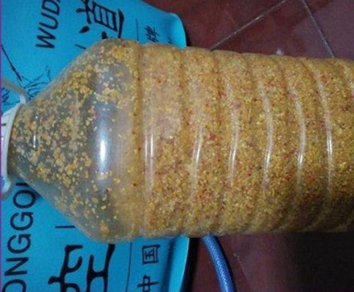 垂钓饵料窝料的正确使用方法 垂钓饵料窝料的正确使用方法