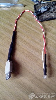 夜钓神器!教你用灯泡作饵料,视频教程轻松上手 夜钓神器!教你用灯泡作饵料,视频教程轻松上手