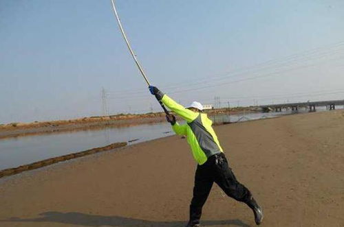 抛竿底钓鱼饵料的正确使用方法