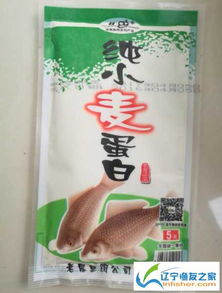 如何撰写揭露钓鱼饵料的句子,揭秘与技巧 如何撰写揭露钓鱼饵料的句子,揭秘与技巧