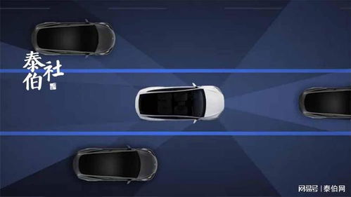 特斯拉称依托超百年的数据进行训练 FSD驾驶经验远超任何人类 特斯拉称依托超百年的数据进行训练 FSD驾驶经验远超任何人类